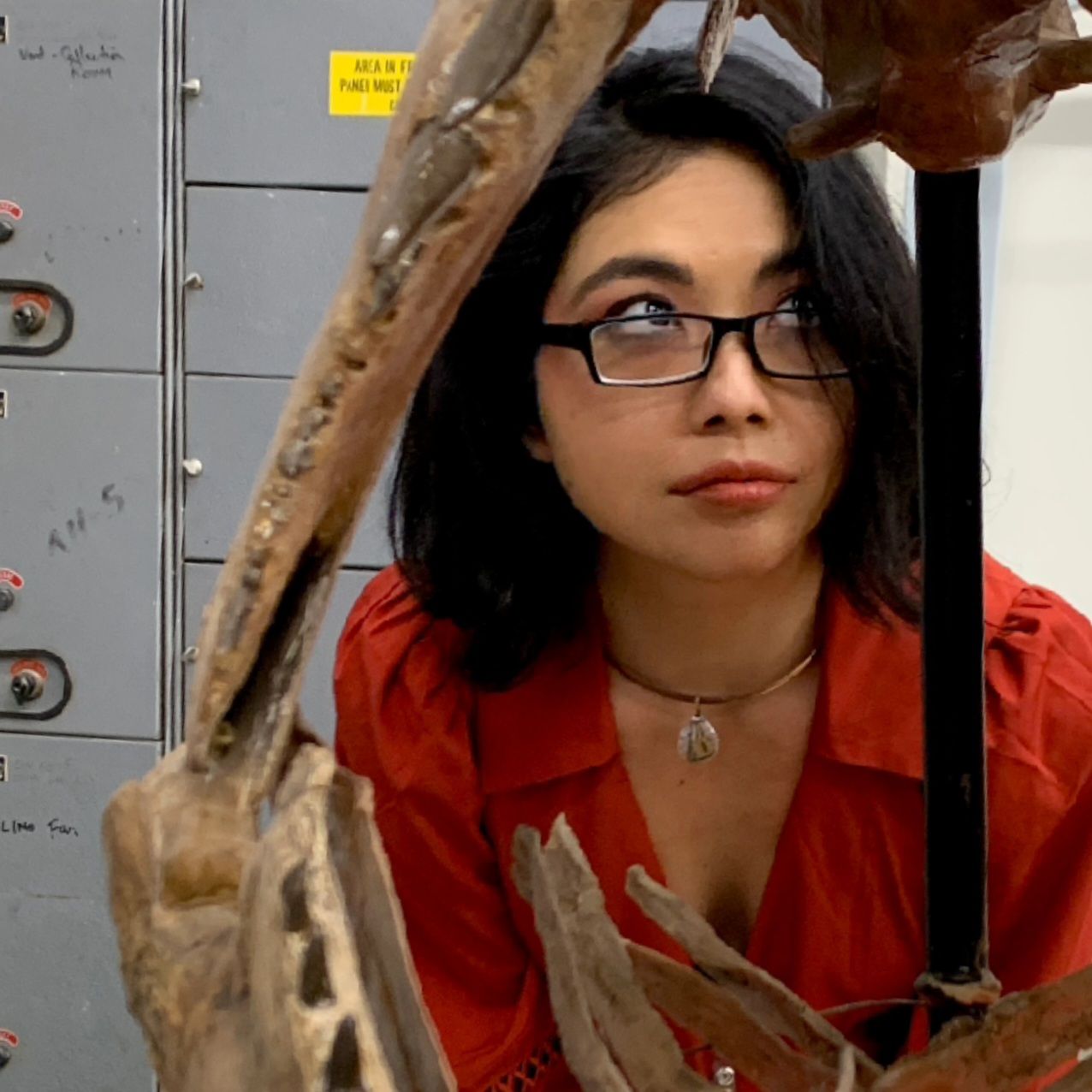 Photograph of Sam Tayag looking at a museum specimen